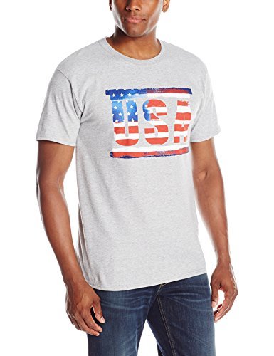 Hanes Men's Graphic T-Shirt - Americana Collection