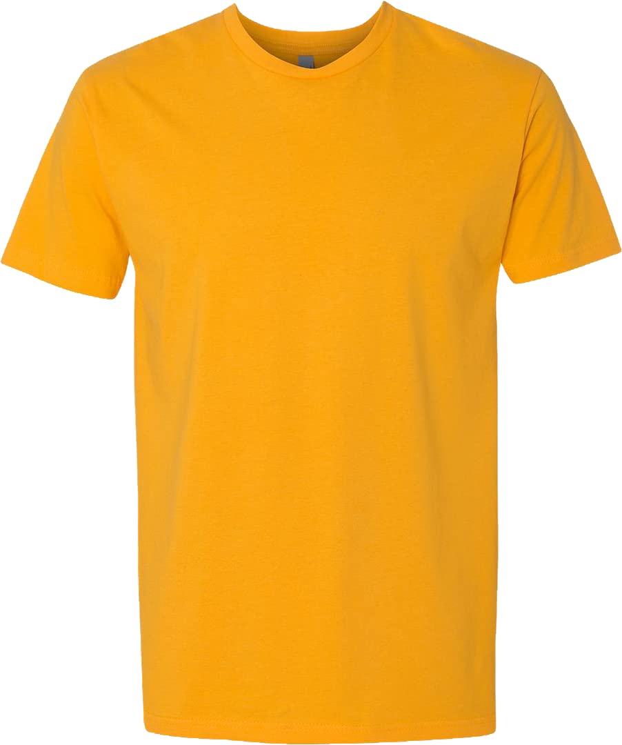 Next Level Apparel Mens 3600