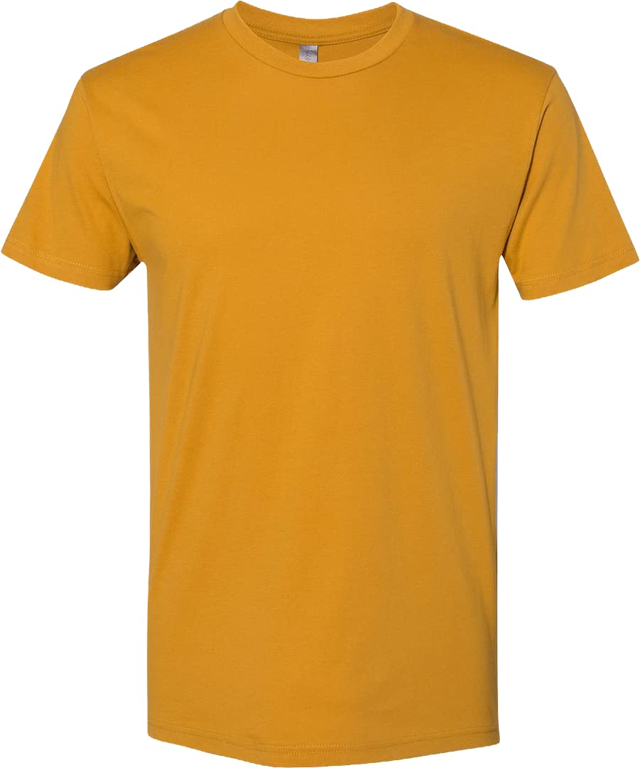 Next Level Apparel Mens 3600