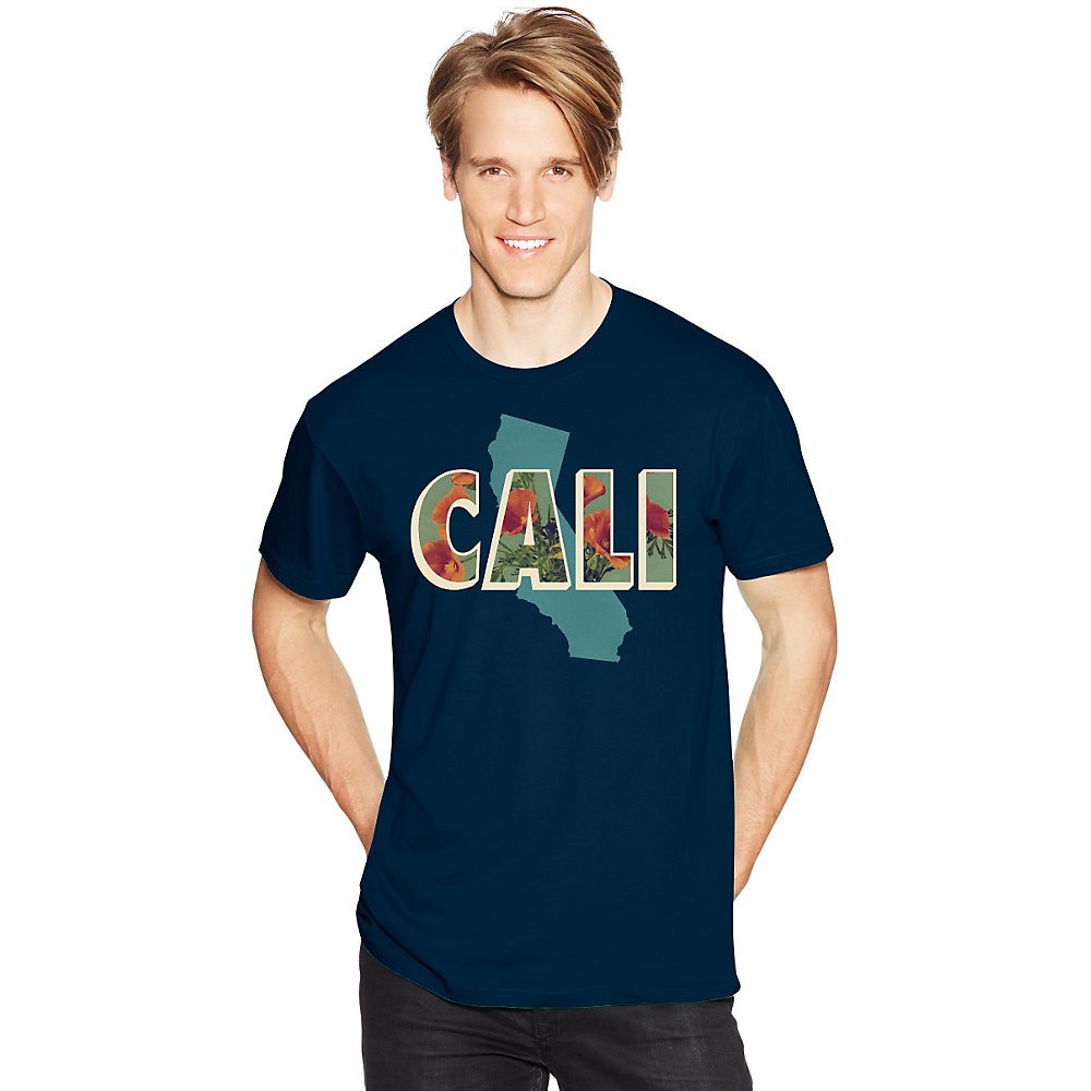 Hanes Men's Graphic T-Shirt - Americana Collection