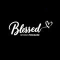 Express & : Durable, Washable Heat Transfer Sticker, Blessed Pattern, Iron-On Clothing Supplies & Appliques for Clothes, T-Shirt Making, Bags, Hoodies, Pillow Decorating Heat Transfer Film