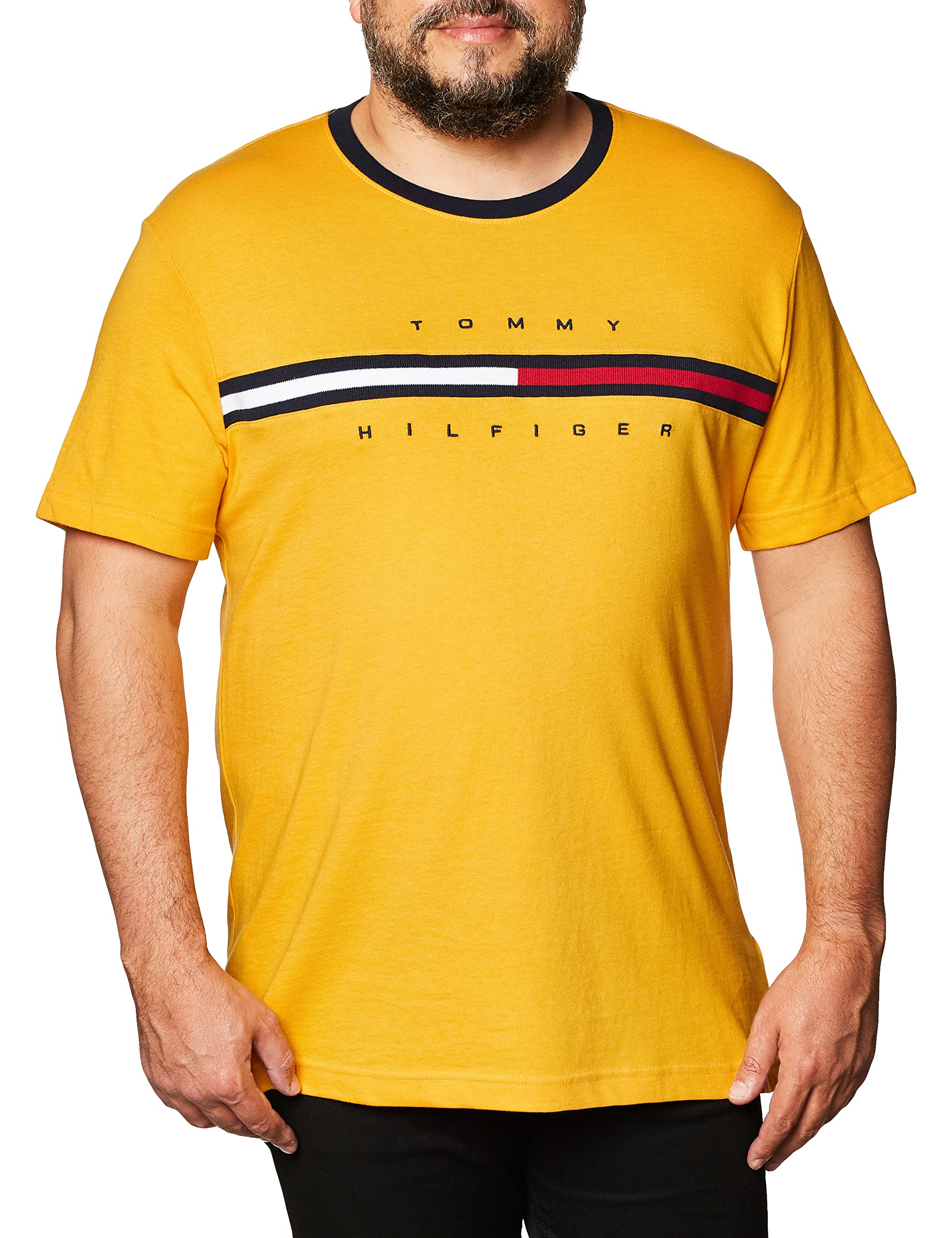 Tommy Hilfiger Mens Short Sleeve Tino T-Shirt