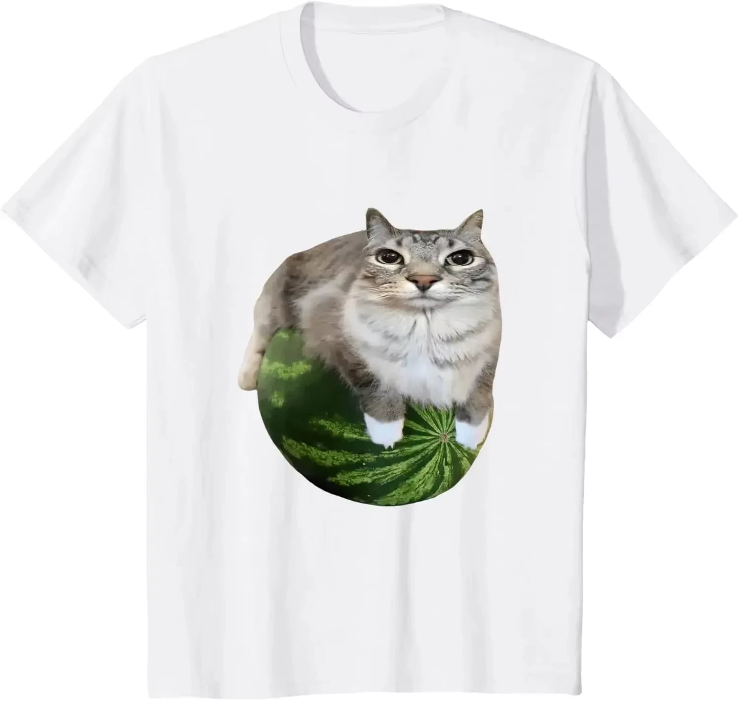 BABABOYI Watermelon Cat Silly Cat Meme T-Shirt A Hilarious Watermelon Print Shirt Is A Stylish Unisex Top for Both Men and Women