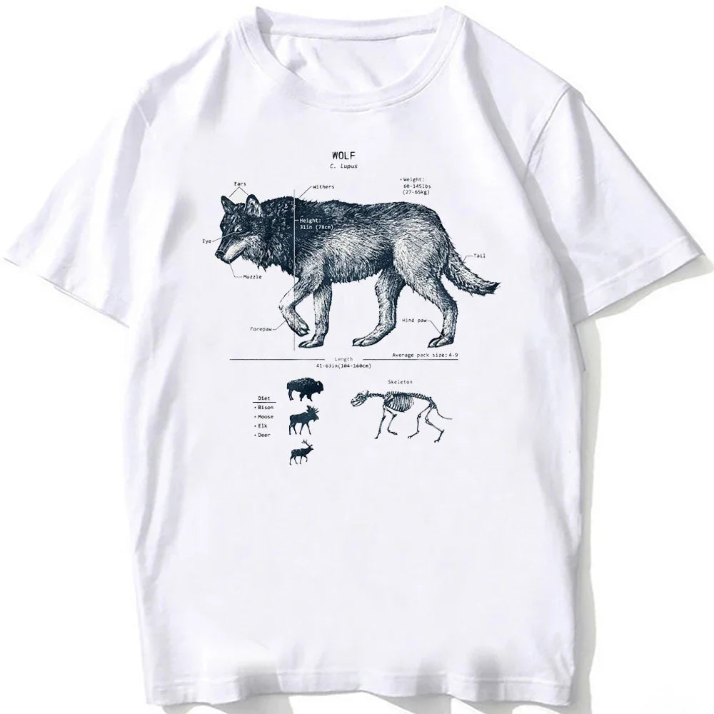 HOT SALE Casual Tee Beach Dive White Tee Vintage Tee Whale Shark Dissection Tee Female Hip Hop Aesthetic Comfortable Clothing