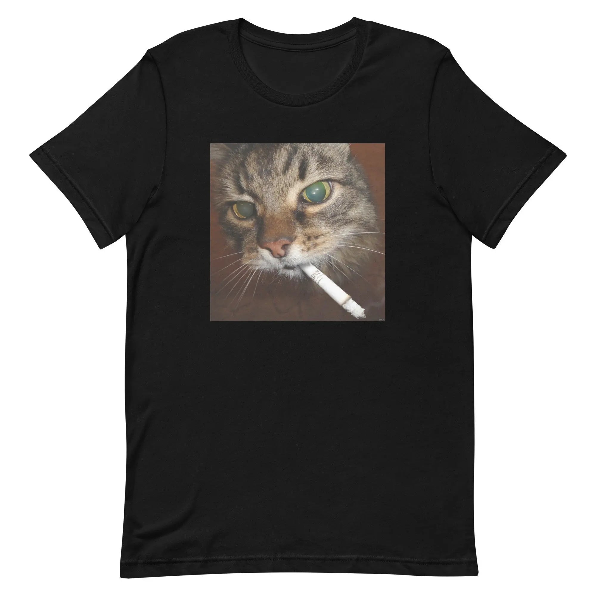 HOT SALE Cigarette Kitten Funny Smoking Cat Meme Silly Brain Putty T-shirt Cute Kitten Graphic Costume Fashion Y2k Humorous Tee