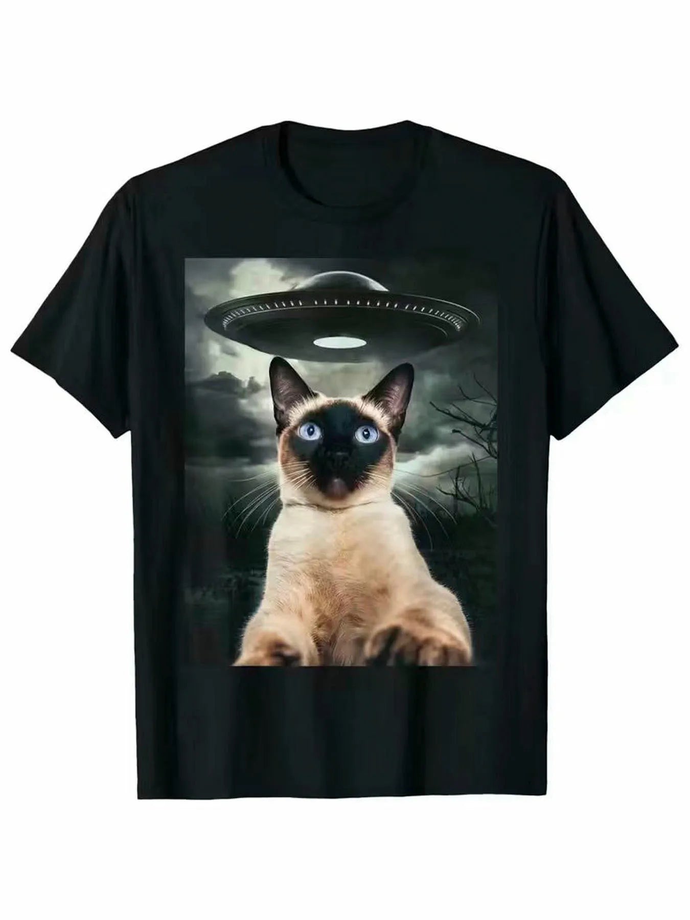 Funny Men's Black Graphic T-Shirt Siamese Cat Blue Eyes Ufo Night Sky Storm Clouds Mystery Print 100% Cotton Heavyweight Short Sleeve Casual Streetwear Tee